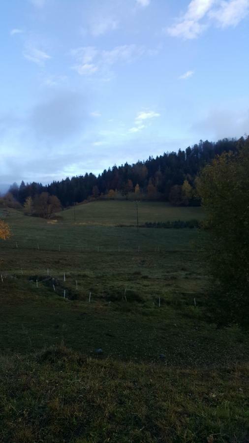 Residence Vallee Des Lacs Le Tholy Exteriör bild